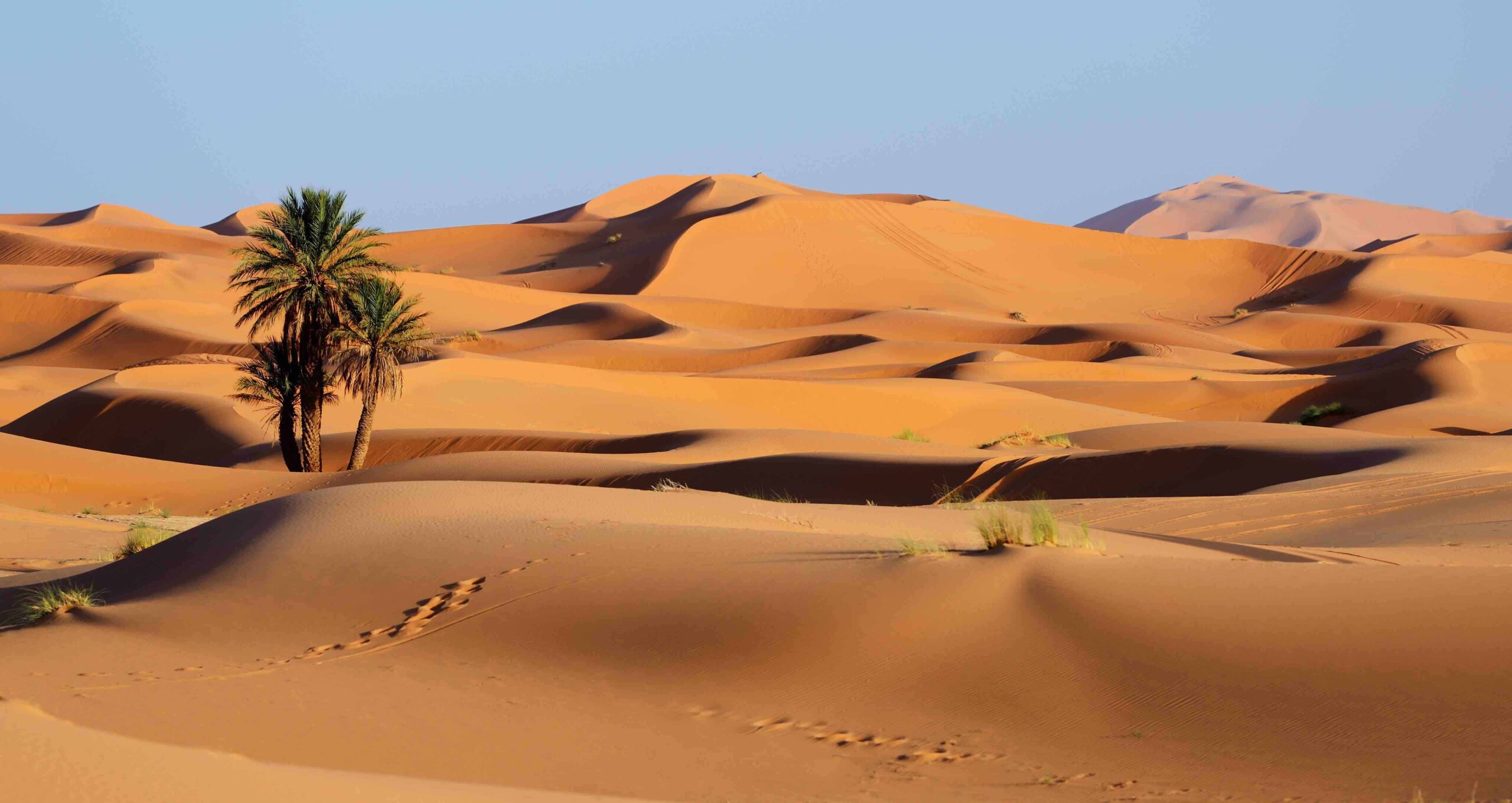 Desert Tourism Flights: A Soaring Perspective on Arid Wonders