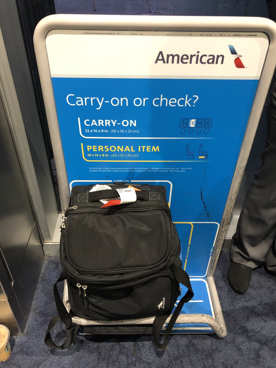 Navigating the Skies: A Comprehensive Guide to Carry-On Baggage Rules