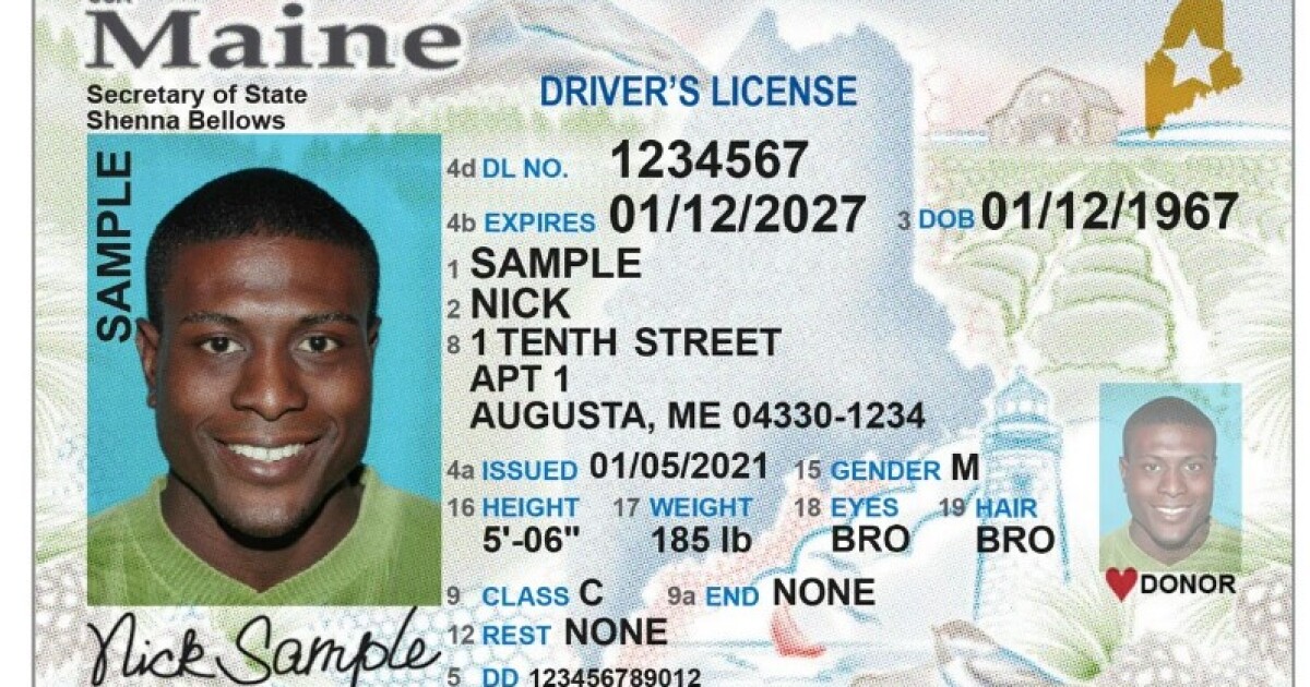 Navigating the Skies: A Comprehensive Guide to Flight ID Requirements