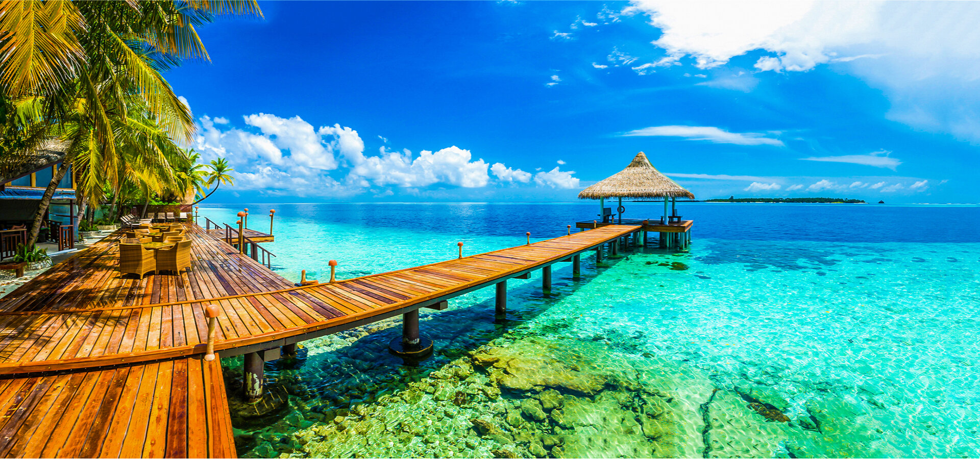 Unlocking Affordable Adventures: The Power of Travel Fare Finders