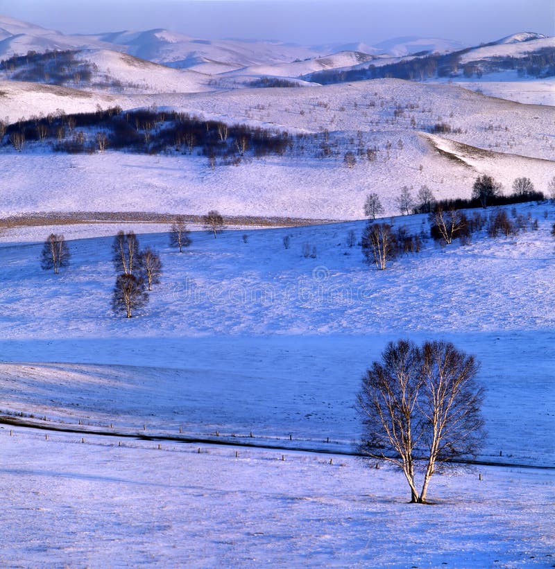 Winter Holiday Travel: A Comprehensive Guide to Planning Your Perfect Escape