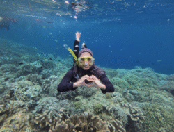 Eksotisme Alam Bawah Laut Bunaken yang Memikat Dunia